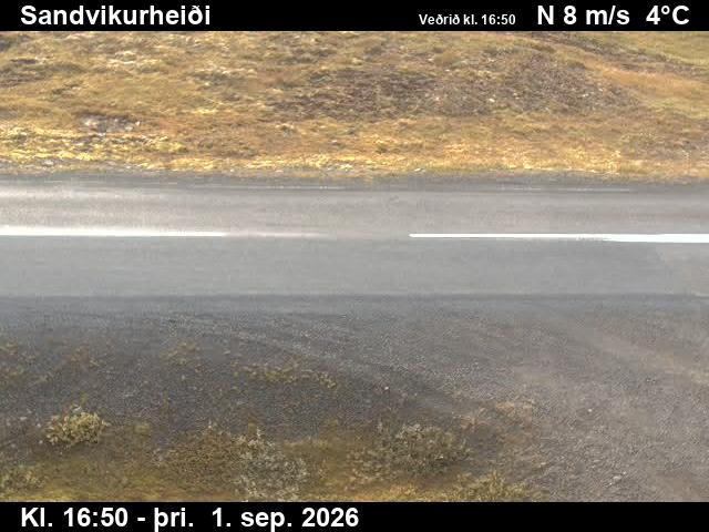 sandvikurheidi_2-1788289304.jpg
