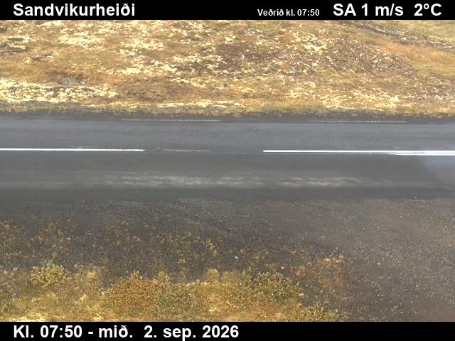 sandvikurheidi_2-1788343263.jpg
