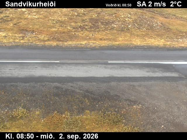 sandvikurheidi_2-1788346905.jpg