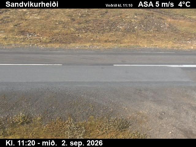 sandvikurheidi_2-1788355555.jpg