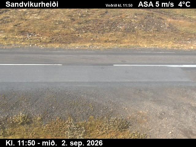 sandvikurheidi_2-1788357664.jpg