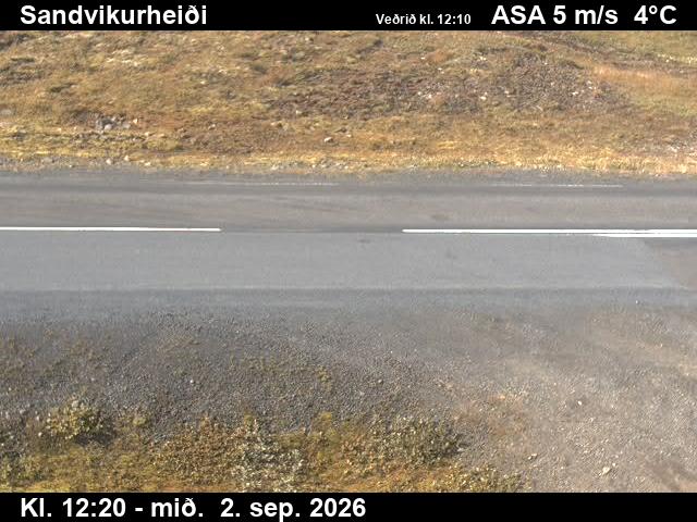 sandvikurheidi_2-1788359125.jpg