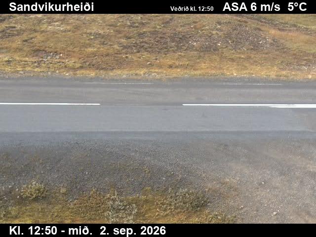 sandvikurheidi_2-1788361264.jpg
