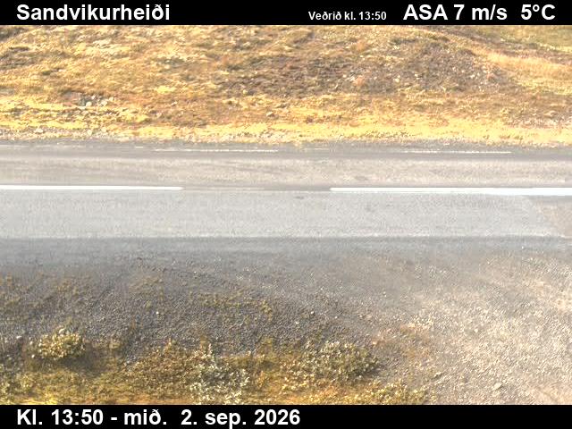 sandvikurheidi_2-1788364903.jpg