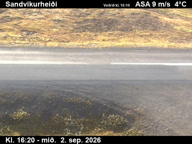 sandvikurheidi_2-1788373545.jpg