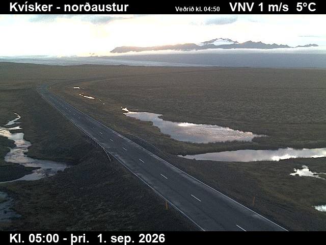 kvisker_1-1788246069.jpg
