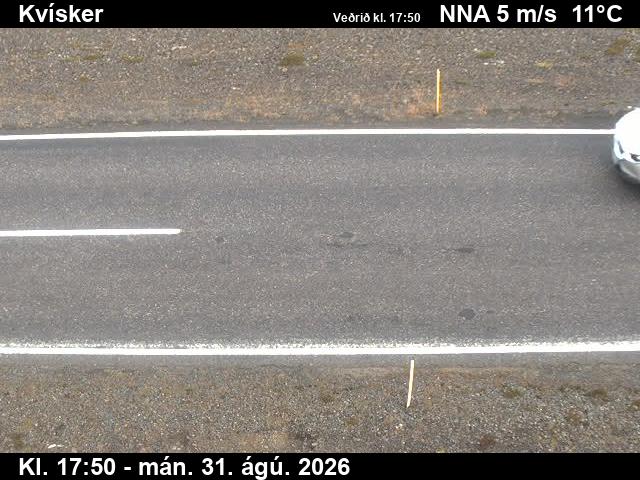 kvisker_2-1788206508.jpg