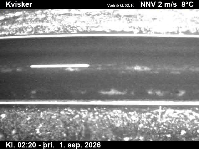 kvisker_2-1788236771.jpg