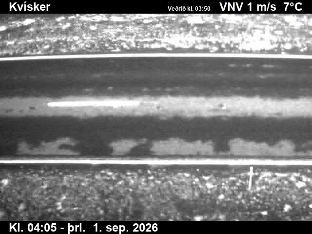 kvisker_2-1788242752.jpg