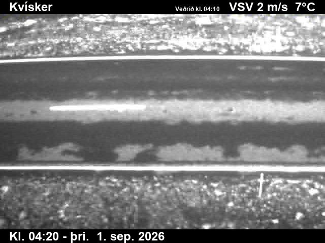 kvisker_2-1788243958.jpg