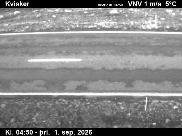 kvisker_2-1788246091.jpg
