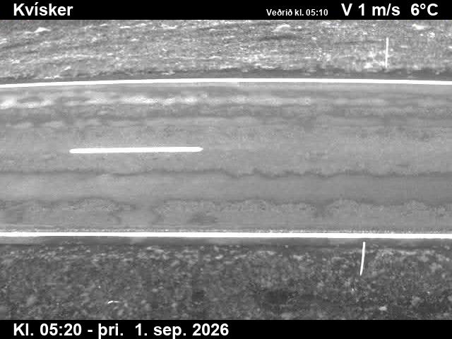 kvisker_2-1788247590.jpg
