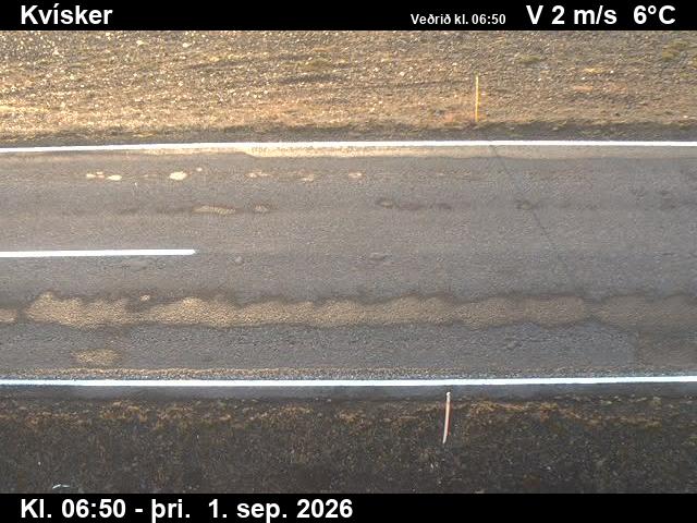 kvisker_2-1788253296.jpg