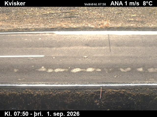 kvisker_2-1788256846.jpg