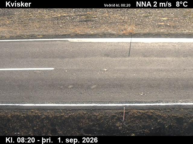 kvisker_2-1788258532.jpg
