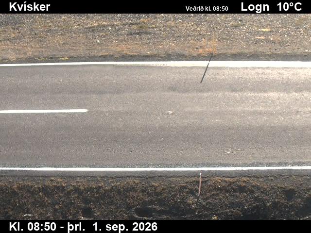 kvisker_2-1788260560.jpg