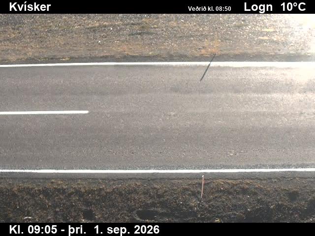 kvisker_2-1788260766.jpg