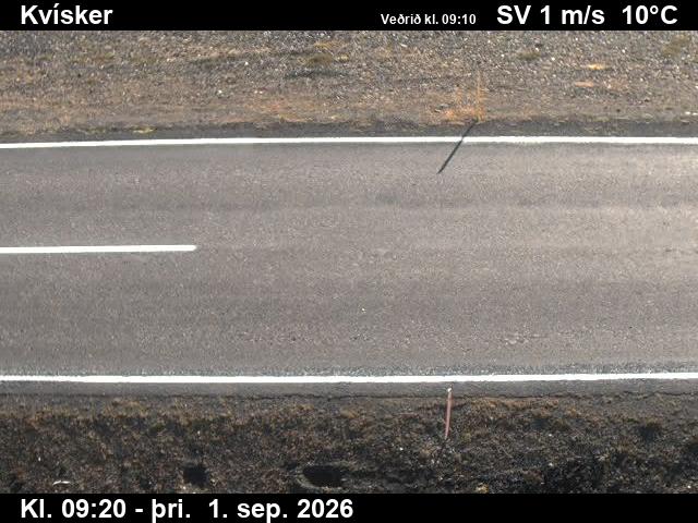 kvisker_2-1788261930.jpg