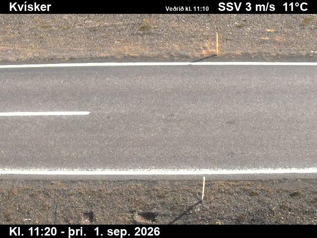 kvisker_2-1788269124.jpg