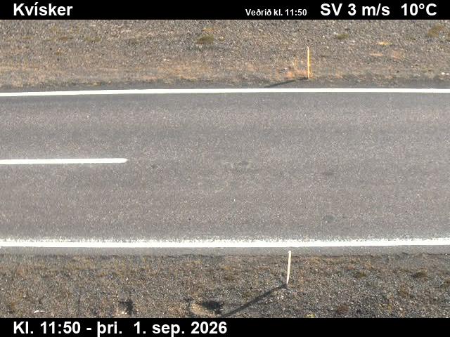 kvisker_2-1788271276.jpg