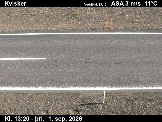 kvisker_2-1788276341.jpg