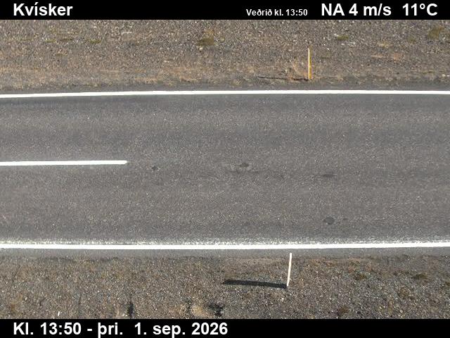 kvisker_2-1788278481.jpg