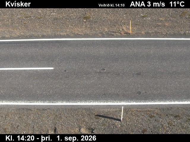 kvisker_2-1788279952.jpg