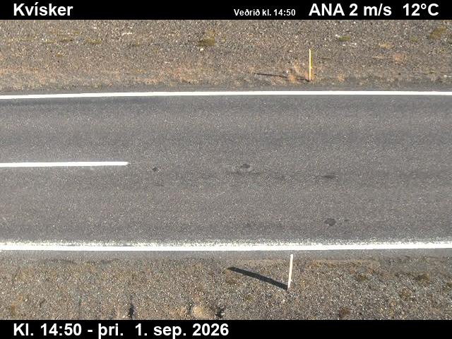 kvisker_2-1788282069.jpg