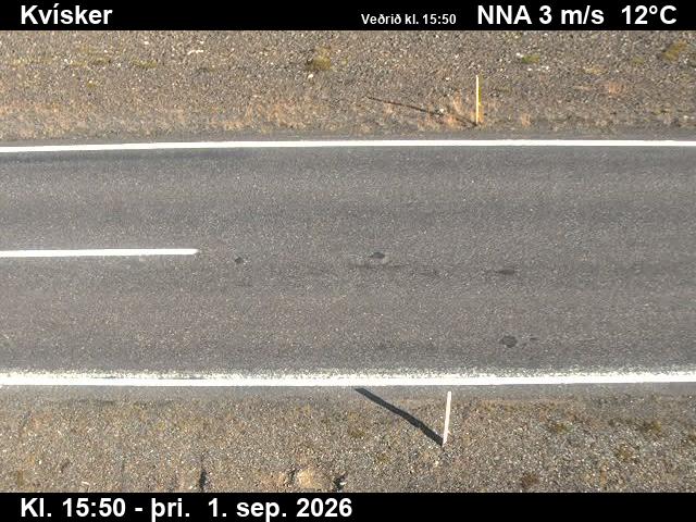 kvisker_2-1788285661.jpg