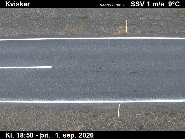 kvisker_2-1788296442.jpg