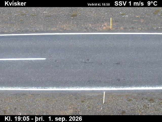 kvisker_2-1788296755.jpg