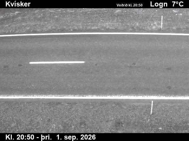 kvisker_2-1788303669.jpg