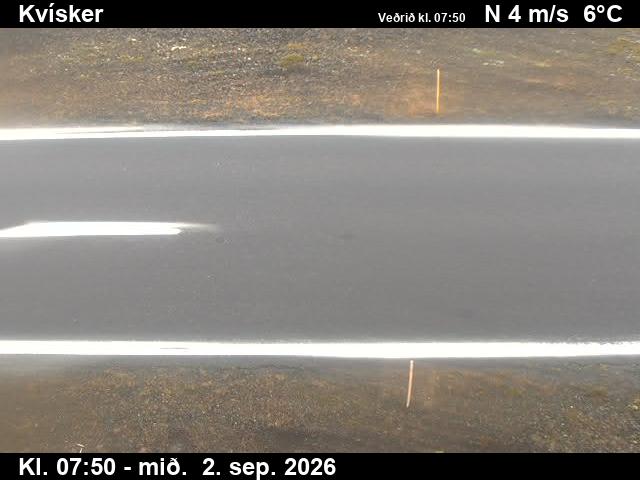 kvisker_2-1788343261.jpg