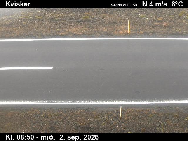 kvisker_2-1788346864.jpg