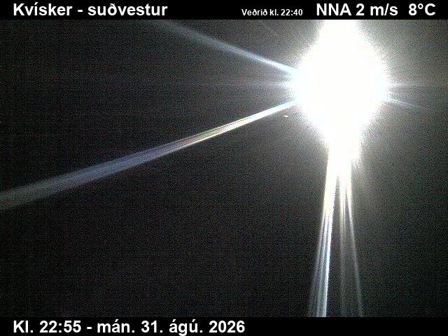 kvisker_3-1788224509.jpg