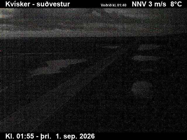kvisker_3-1788235239.jpg