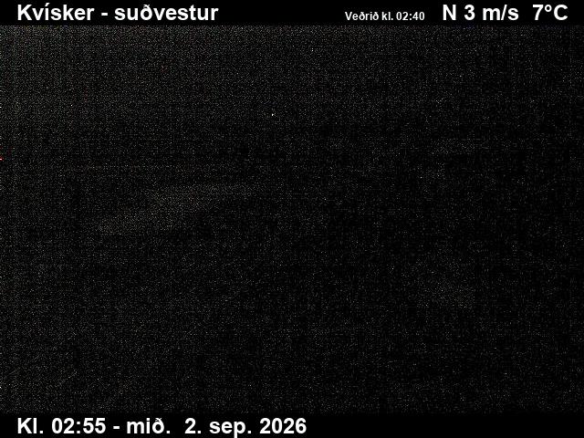 kvisker_3-1788325358.jpg