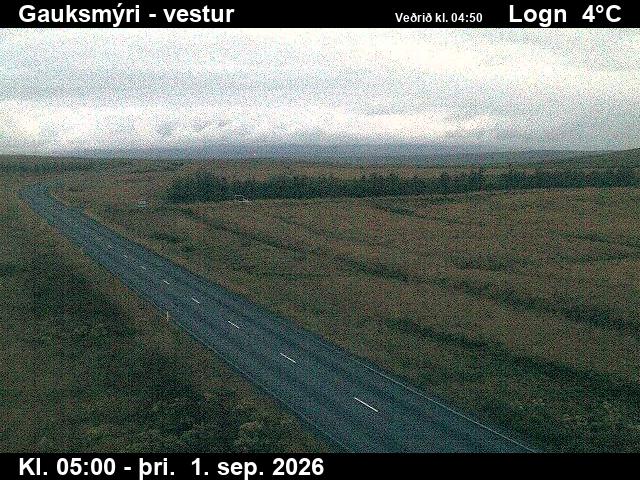 gauksmyri_1-1788246069.jpg
