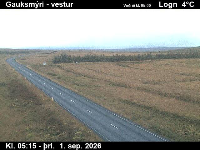 gauksmyri_1-1788247591.jpg