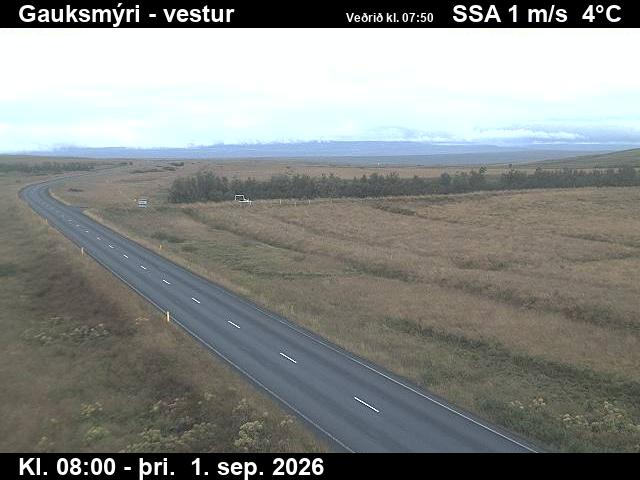 gauksmyri_1-1788256887.jpg