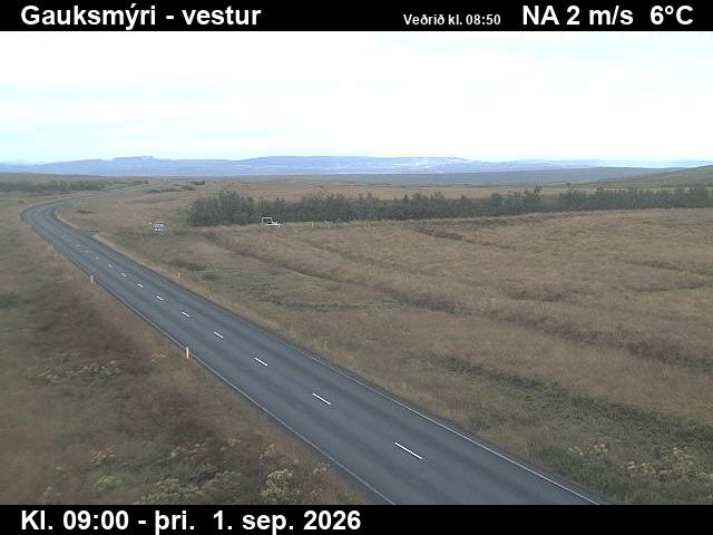 gauksmyri_1-1788260765.jpg