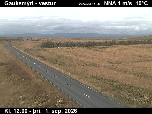 gauksmyri_1-1788271243.jpg