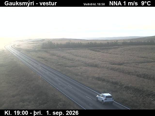 gauksmyri_1-1788296755.jpg