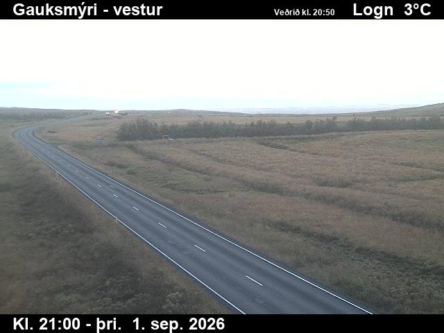 gauksmyri_1-1788303933.jpg