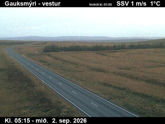 gauksmyri_1-1788333933.jpg