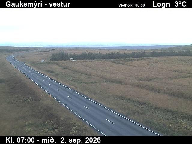gauksmyri_1-1788339689.jpg