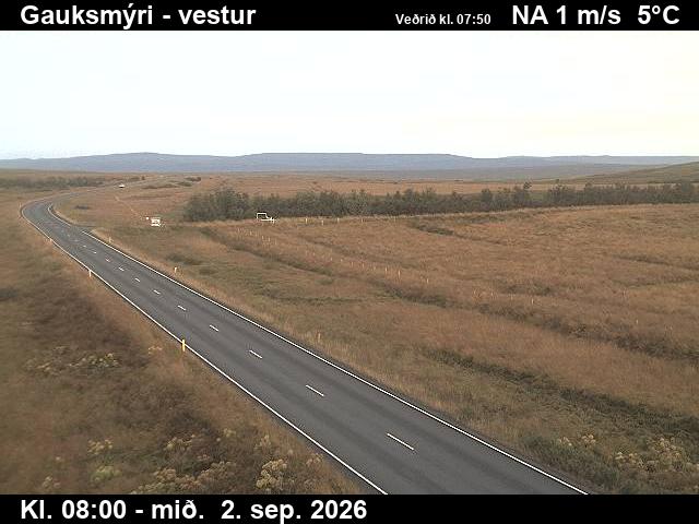 gauksmyri_1-1788343317.jpg