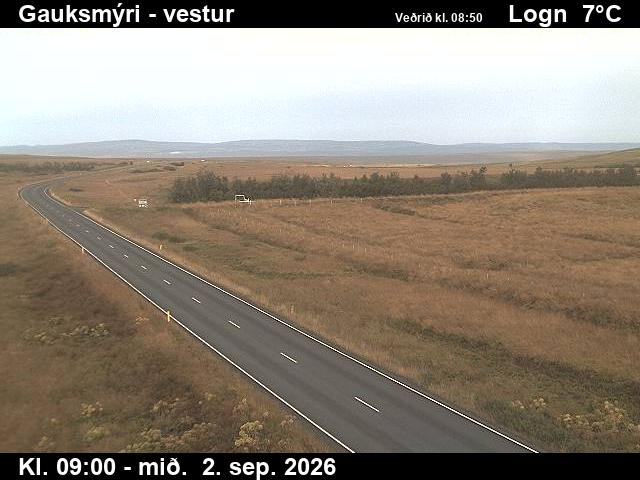 gauksmyri_1-1788346921.jpg