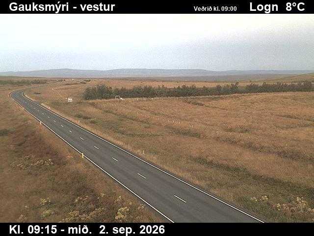gauksmyri_1-1788348333.jpg