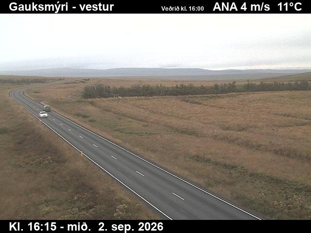 gauksmyri_1-1788373534.jpg